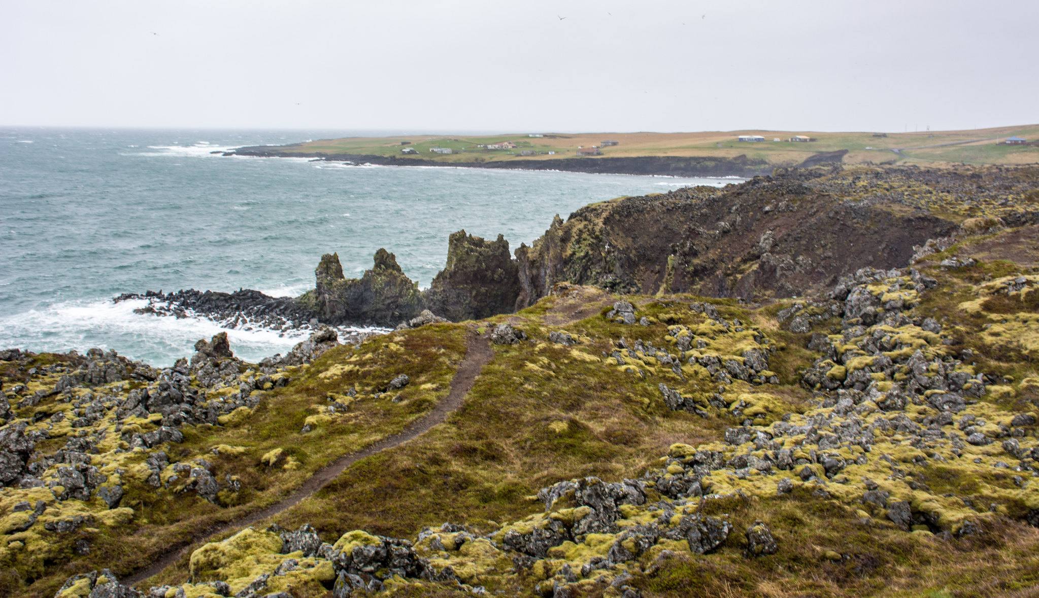 The coastal path through mossy lava between Arnarstapi and Hellnar